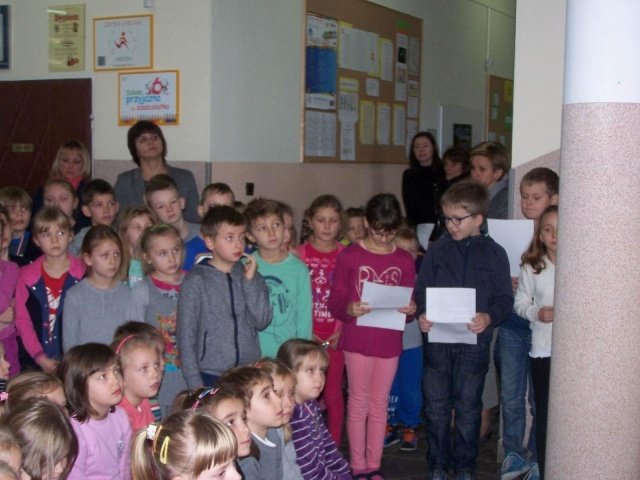 zdjęcie17