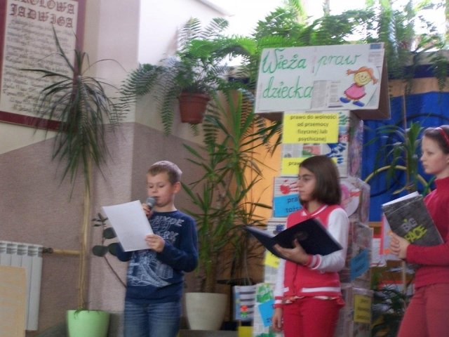 zdjęcie24