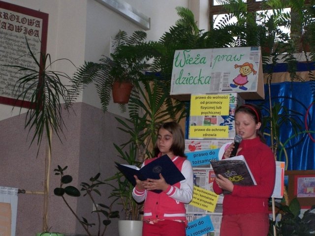 zdjęcie25