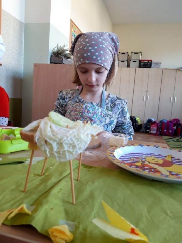 zdjęcia16