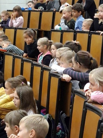 zdjęcia16