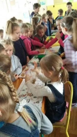 zdjęcia19