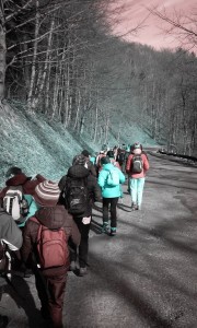 20150321_093430 (Kopiowanie)