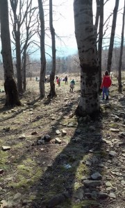 20150321_131207 (Kopiowanie)