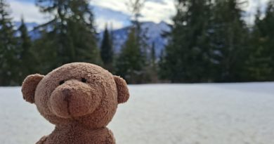 „Gdzie wywiało miśka?”, czyli nowy konkurs