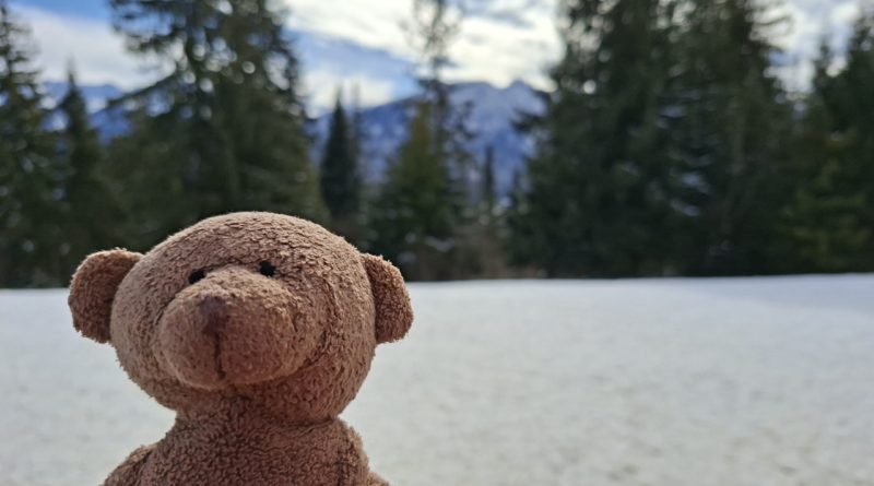 „Gdzie wywiało miśka?”, czyli nowy konkurs